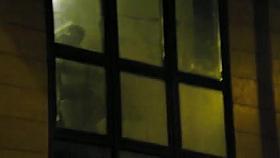 boys watching the neighbors