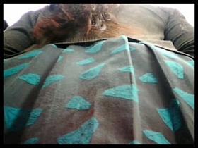 UPSKIRT 11 SEGUNDA PARTE