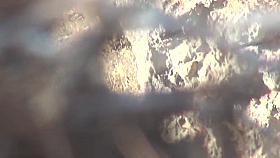 Girls Pissing voyeur video 106