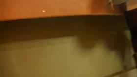 Leggings or Pantyhose?