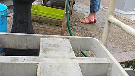 MINI SHORT VIOLET SEXY ASS