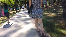 Following the Ass 21