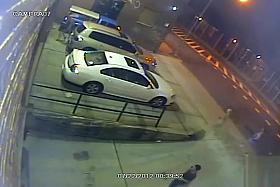 Desperate fillies relieving themselves behind their cars