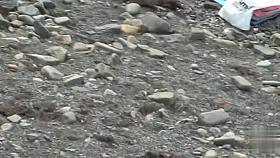 Sex on the Beach. Voyeur Video 75