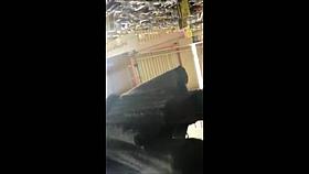 sous la jupe des bas 2