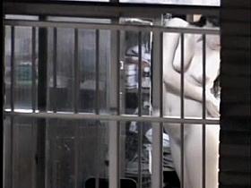 Maravilha de Vizinha 10