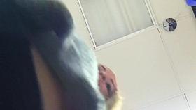 LAB recepcionist great boobs