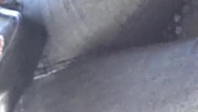 cachonda pidiendo reata