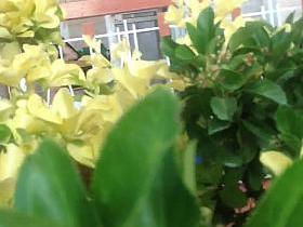 voyeur balcony sex girl