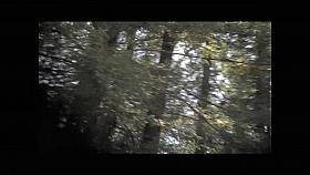 Sexy legs upskirt spied from behind by the lewd cameraman