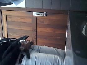 Hidden camera films her pissing pussy