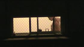 Window Voyeur 18 of 1000
