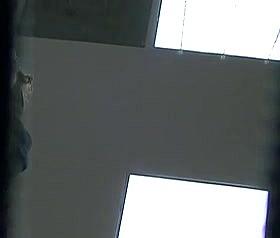 zebra panties coworker