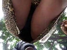 up skirt, bajo falda