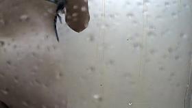 New Spy Cams Scene Show