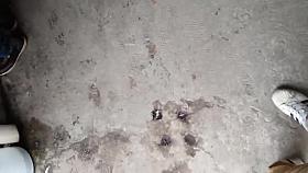 Candid Big Ass Flashing