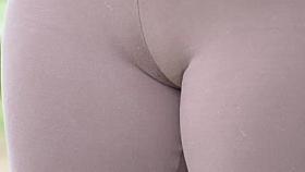 SDRUWS2 - 2 LARGE CAMELTOES IN PUBLIC PARK