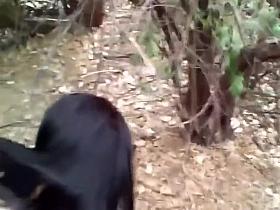 Exploring wilderness with a sexy girl