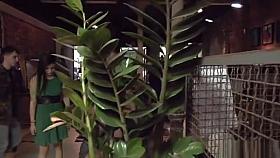 Babe dp gangbanged in public bar