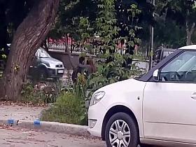 Couple trying to fuck out in the open