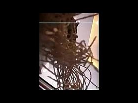 Blonde Teen Upskirt Shopping