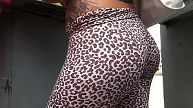 WELL ADJUSTED LEOPARD LIKE THAT