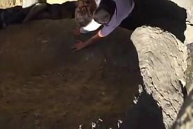 Sweet Little Beach Sex