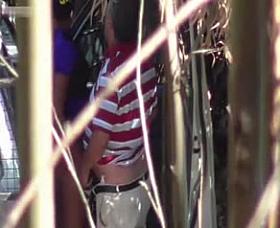 Hidden Cam - Woods 16