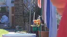 spare pegs hanging washing