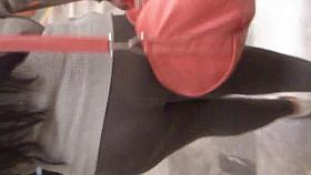 Gordibuena transparencia de mallas I