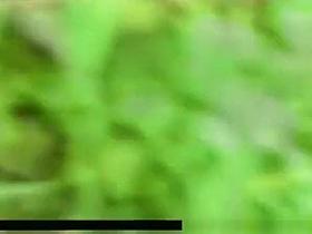 Voyeur hidden in the bushes catches teen couple fucking