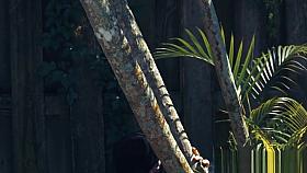 Tiedup 19yo gets banged deeply by intruder