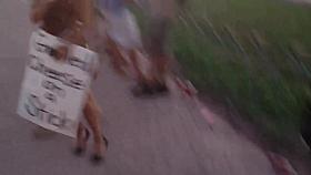 Public voyeur video with girl that pissed in the crowd