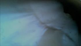 Burning hot crotch no panty up skirt erotic video