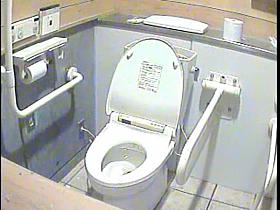The public toilet bowl that had so many amateur sitting on