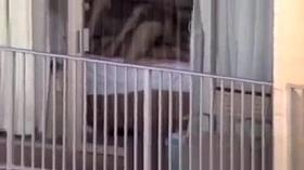 Having Sex Through HI Hotel Window