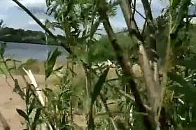 All kinds of lovely asses on beach