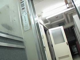 Great Japanese sharking with the white panty exposure