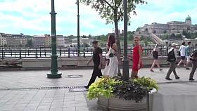 Public slaves whipped and fucked