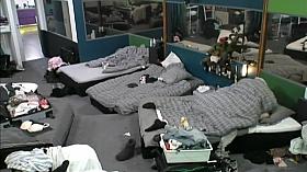 Big brother sex under the blanket