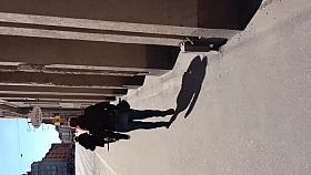 A fine denim clad butt in the sunshine