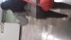 Gordibuena transparencia de mallas II