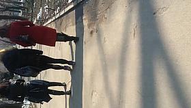 spy sexy girls in parck romanian