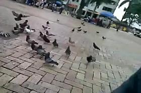 GOOD BIG nipples ass