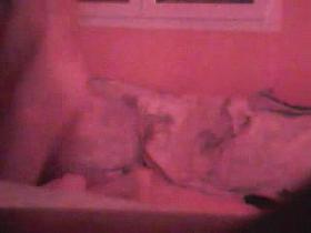 French hidden camera