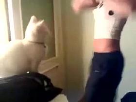 Pussy is a pervert... but has great taste.