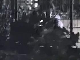 Amateur japanese couple fuck in public