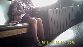 Following Shiny Tan Pantyhose Women