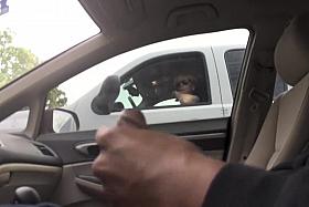 Mature woman wanted to see how I ejaculate!