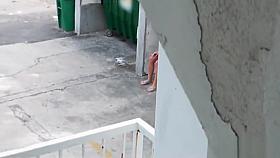 Found this Hottie in Miami